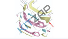 ������ �������� ������� �����