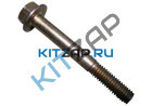 ���� ����� ����������� ��������   